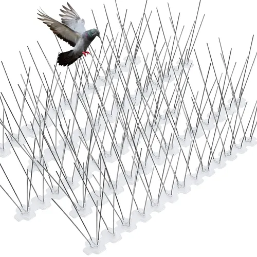 Bird Spikes